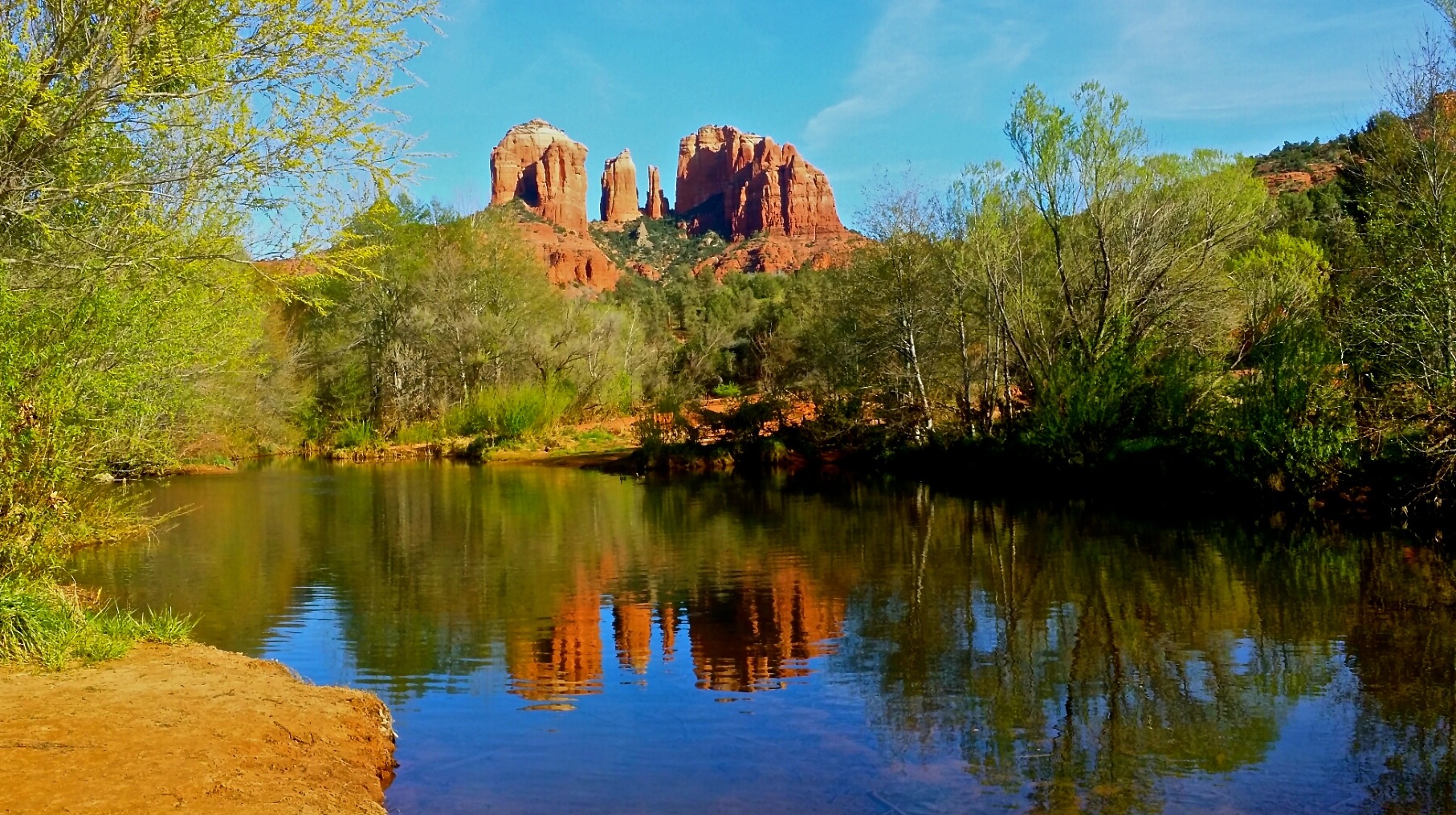 Healing the Mind & Body